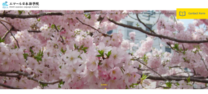 Our website is now open!